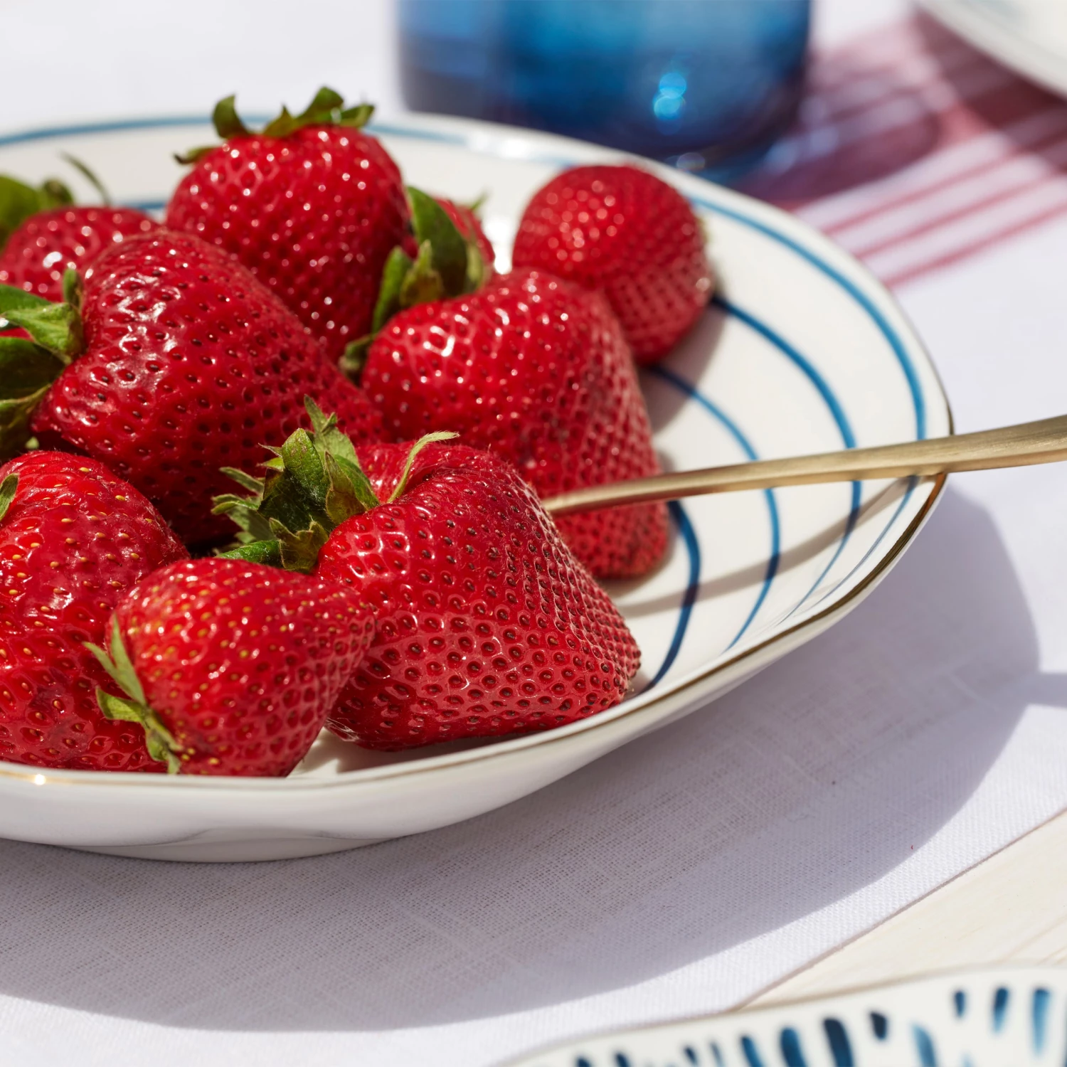 Lenox Blue Bay 4-piece Set Pasta Bowls 4 Lenox Blue Bay 4-piece Set Pasta Bowls - Image 2