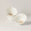Lenox Profile Harvest 4-Piece All-Purpose Bowl Set -lenox Sales Store 893728 w10